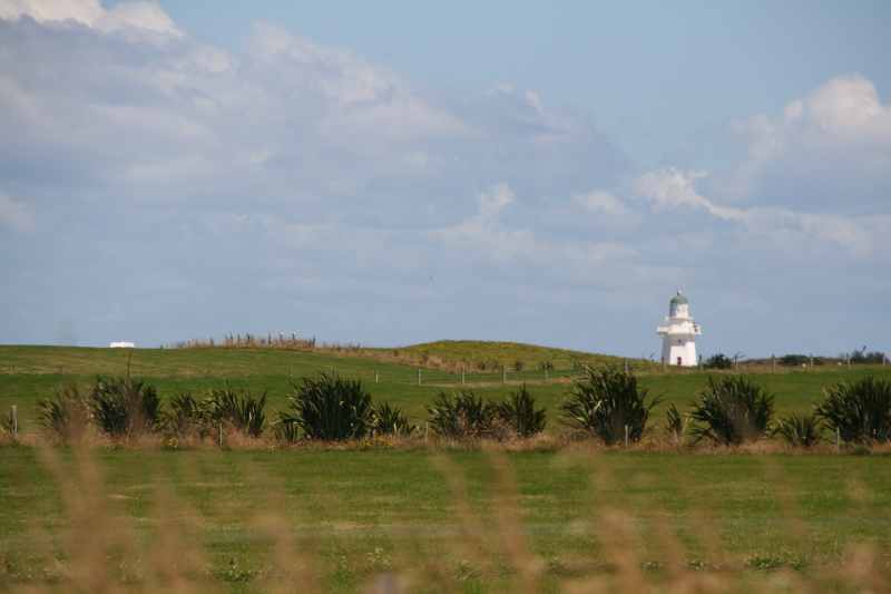 Nieuw-Zeeland 2011 - 1758